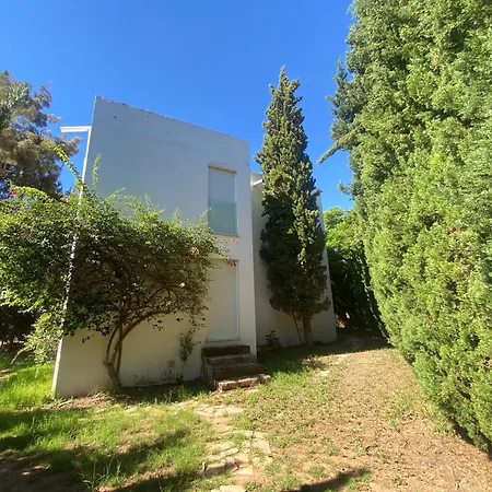Travel Habitat Apartamento Benicàssim