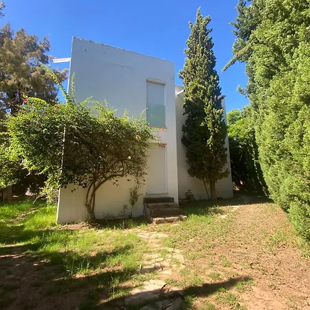 Travel Habitat Benicassim